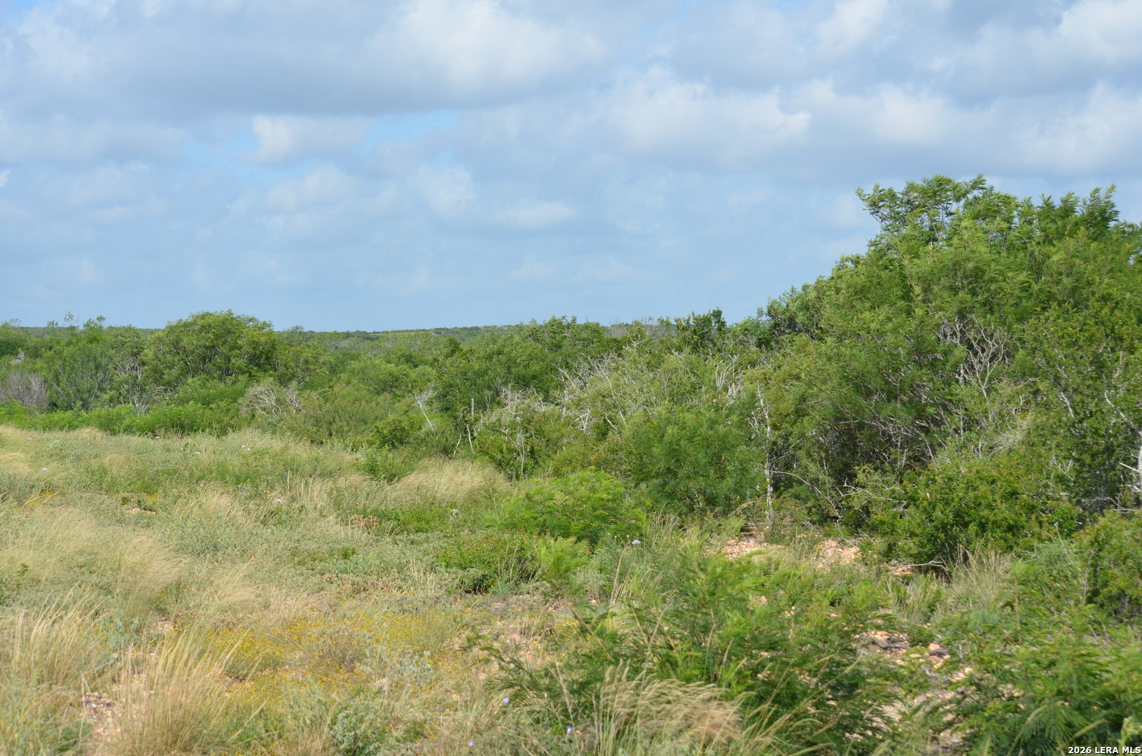 TBD CR 2537/Moore Hollow Road