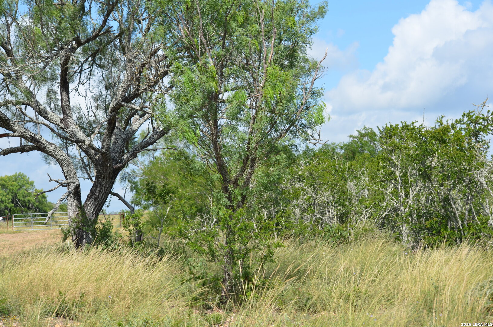 TBD CR 2537/Moore Hollow Road