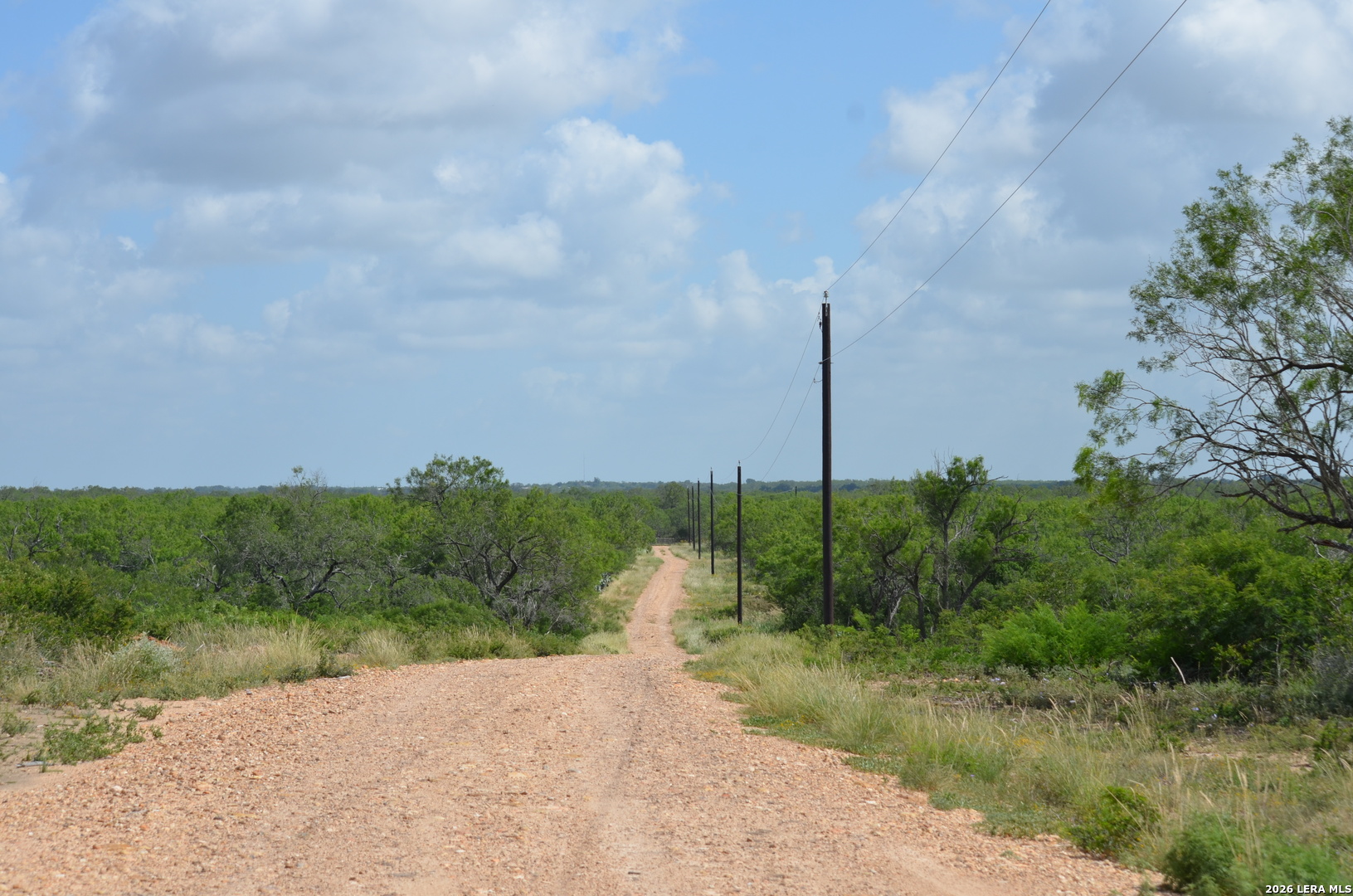 TBD CR 2537/Moore Hollow Road