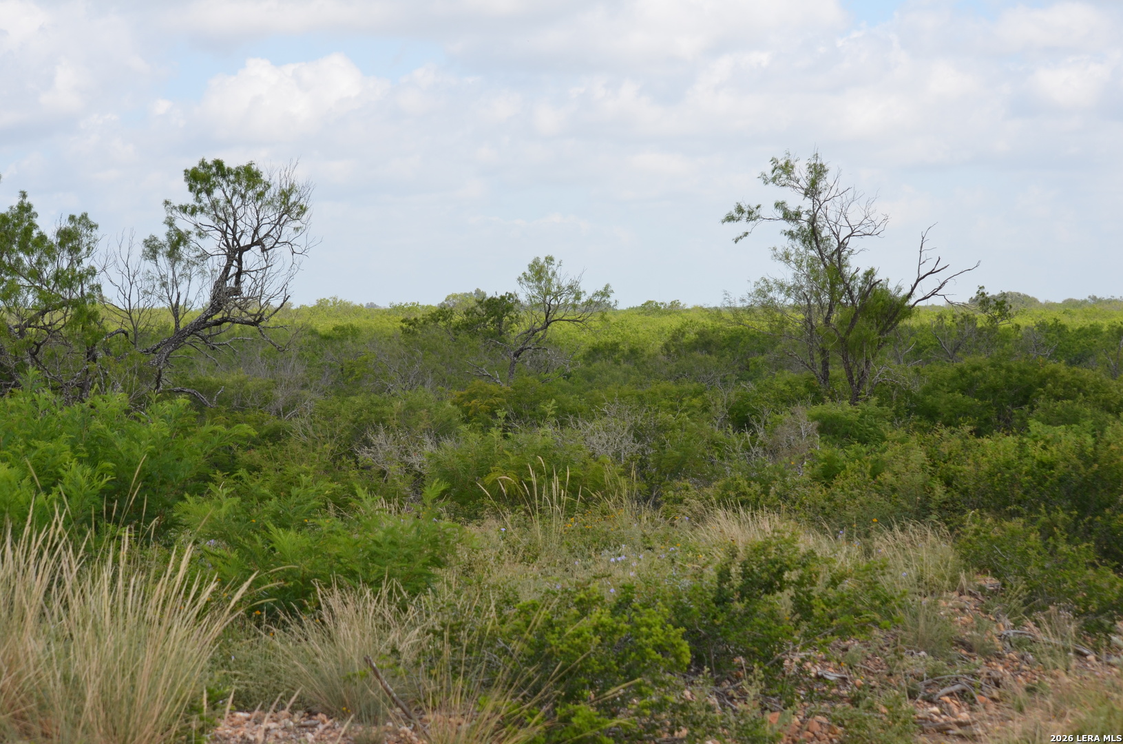 TBD CR 2537/Moore Hollow Road