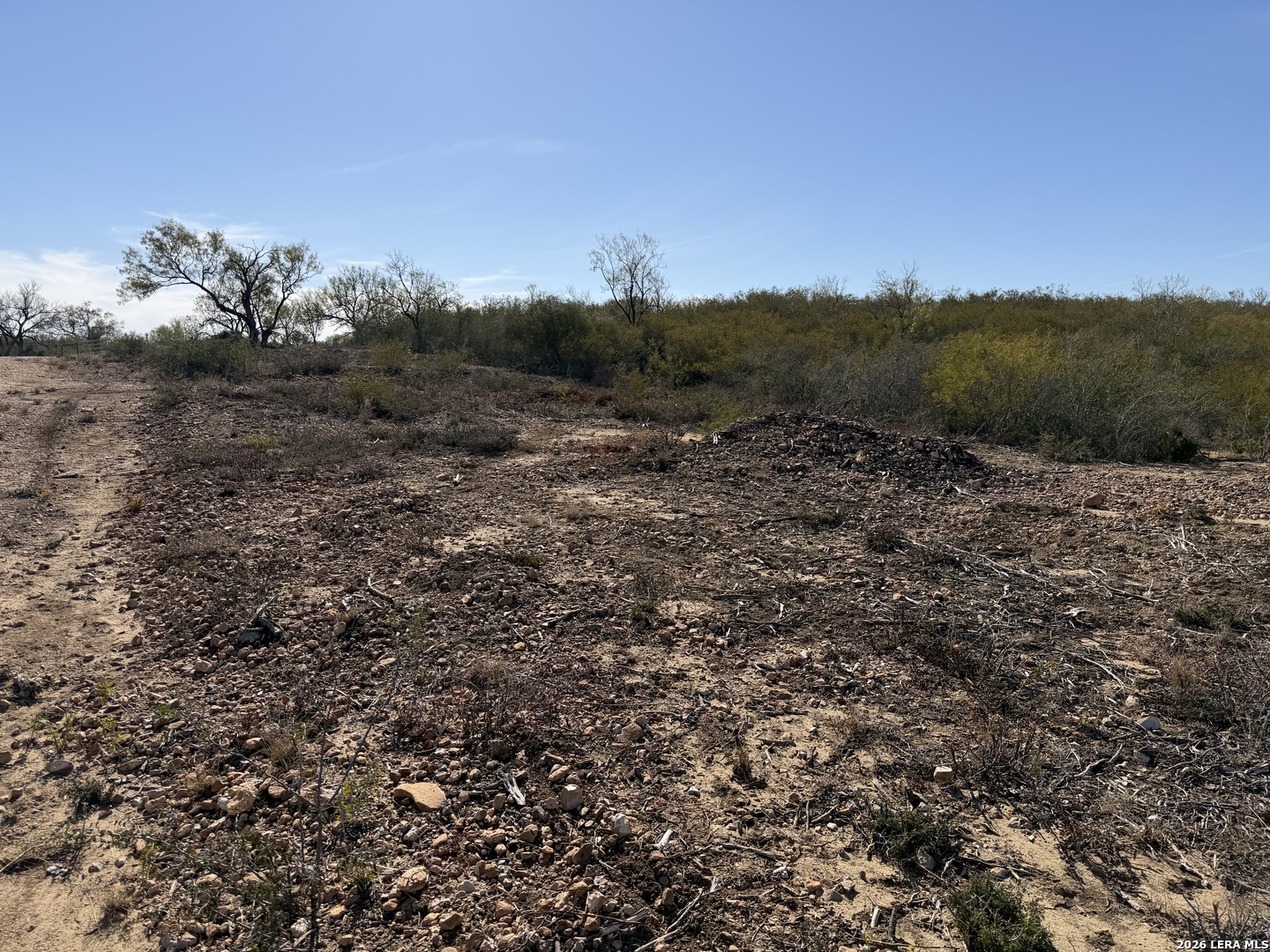 TBD CR 2537/Moore Hollow Road