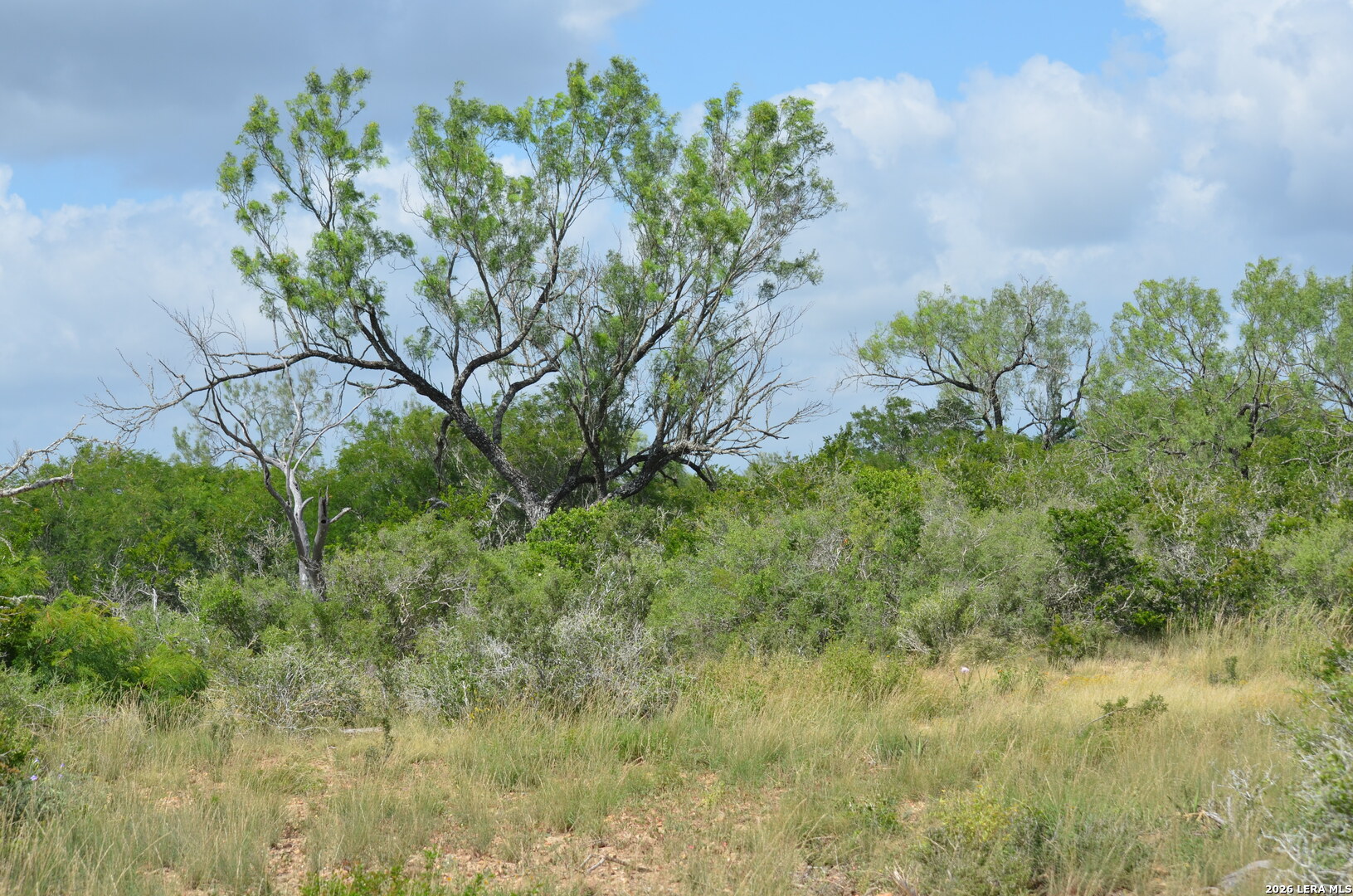 TBD CR 2537/Moore Hollow Road