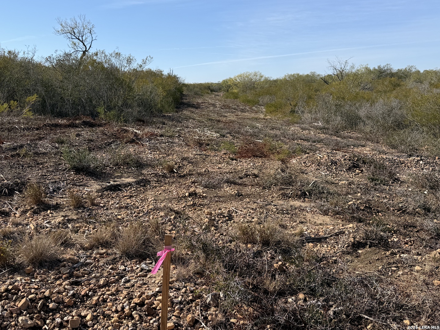 TBD CR 2537/Moore Hollow Road