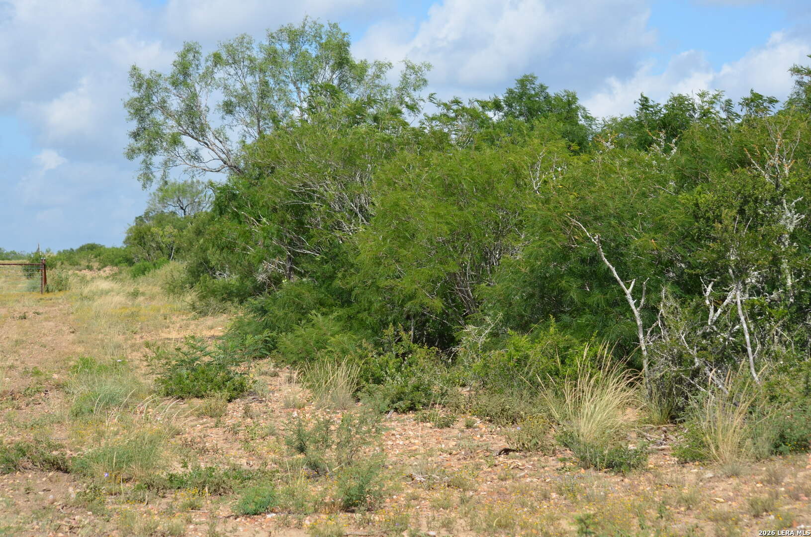 TBD CR 2537/Moore Hollow Road