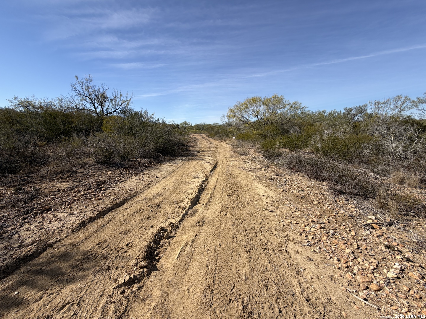 TBD CR 2537/Moore Hollow Road