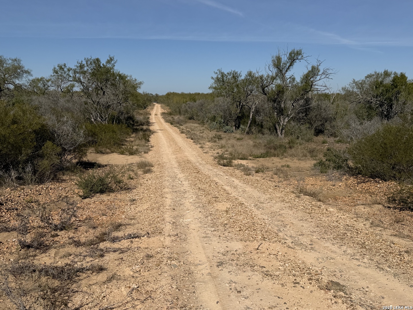 TBD CR 2537/Moore Hollow Road