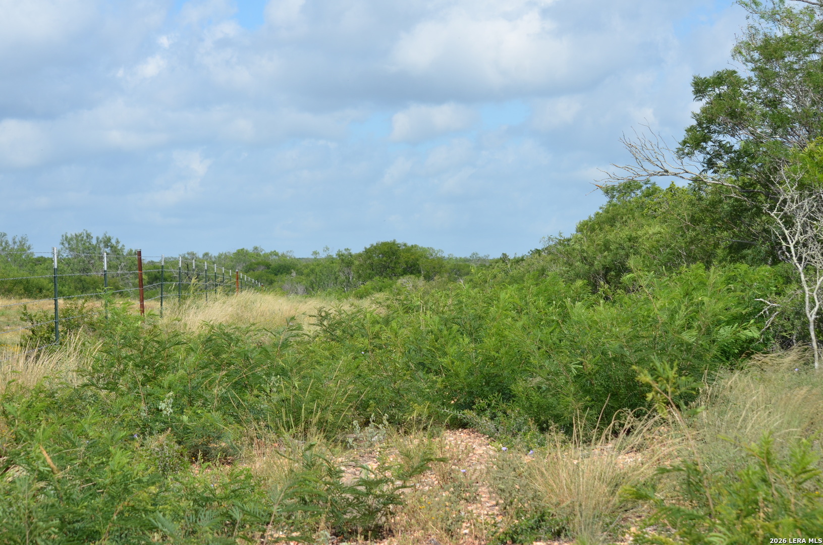 TBD CR 2537/Moore Hollow Road