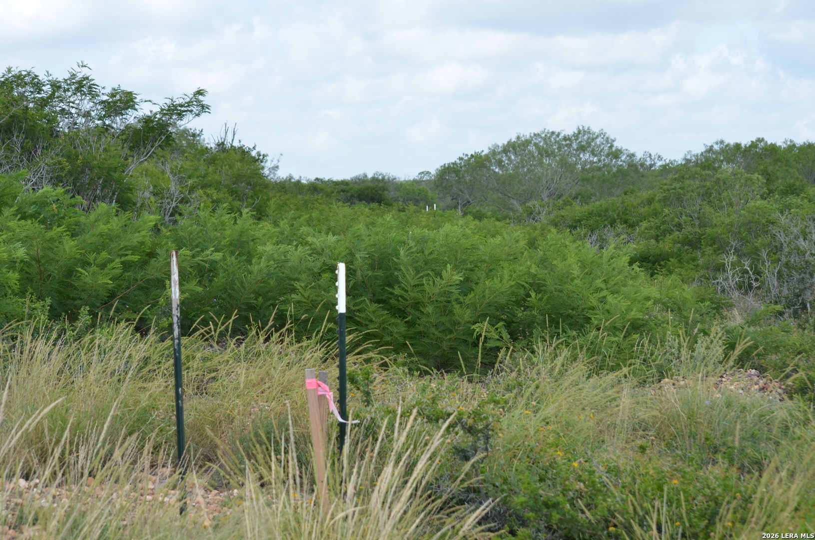 TBD CR 2537/Moore Hollow Road
