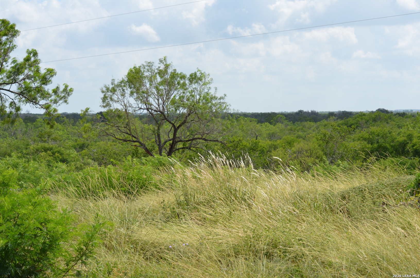 TBD CR 2537/Moore Hollow Road