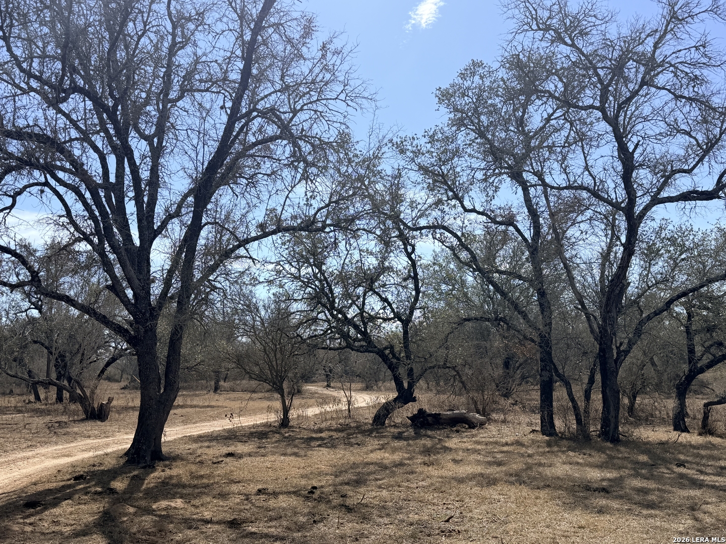 1140 County Road 765