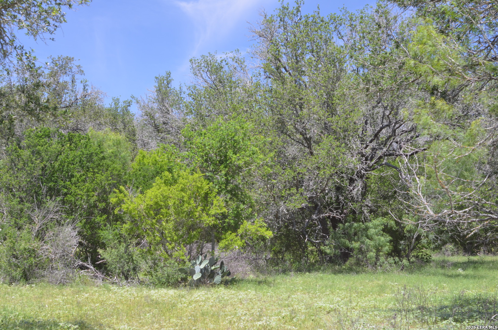 1140 County Road 765