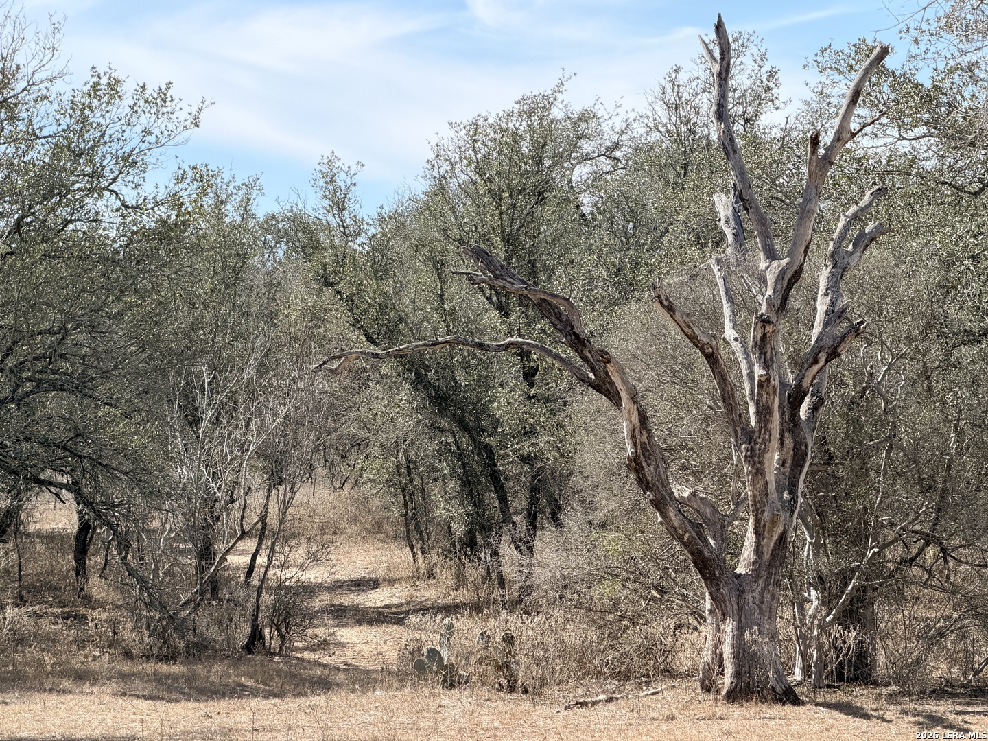 1140 County Road 765