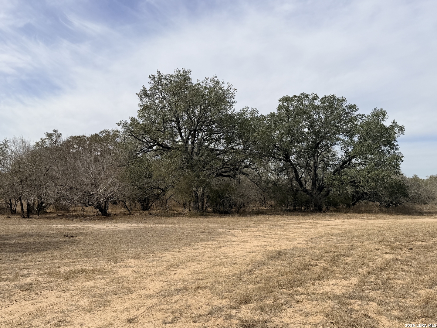 1140 County Road 765