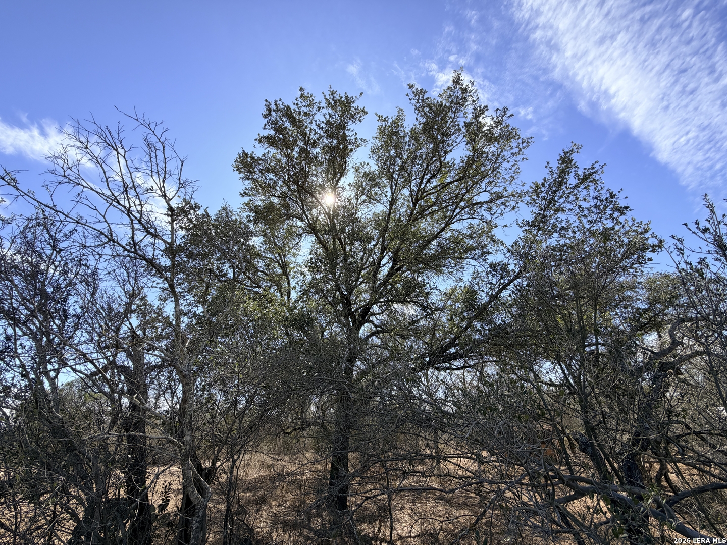 1140 County Road 765