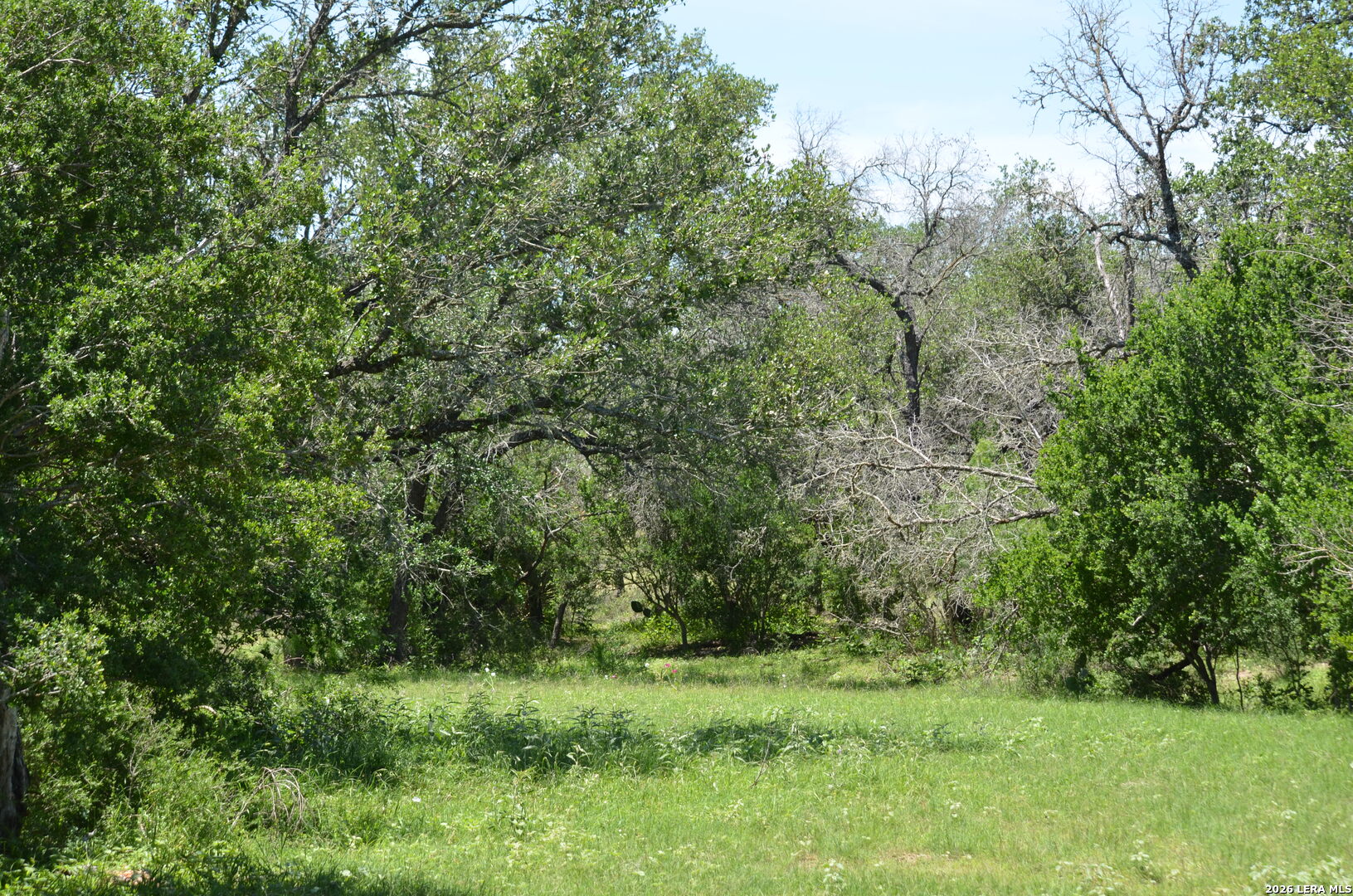 1140 County Road 765