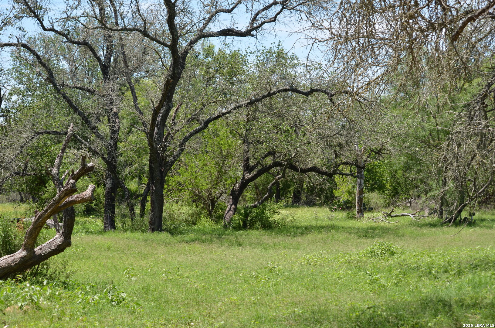 1140 County Road 765