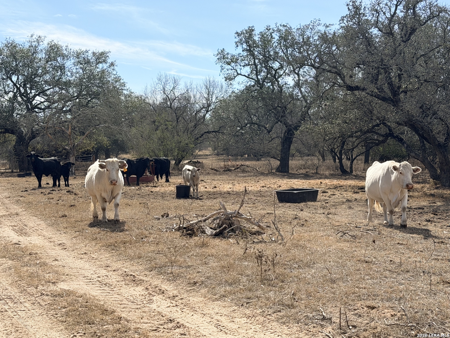 1140 County Road 765