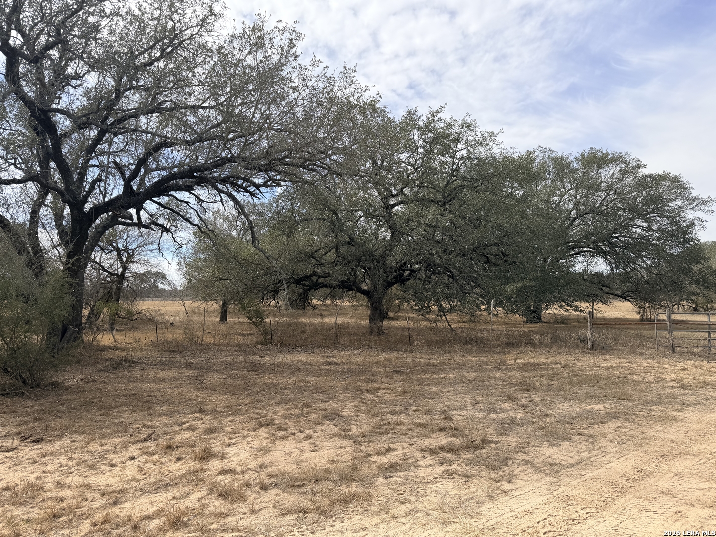 1140 County Road 765