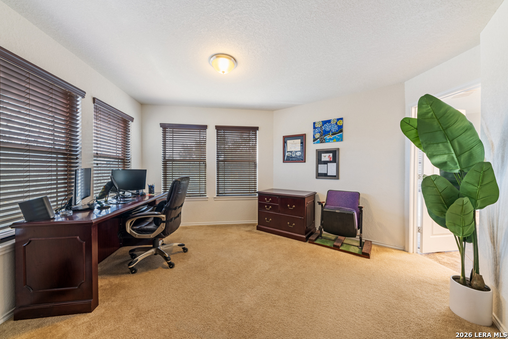13046 Stags Leap