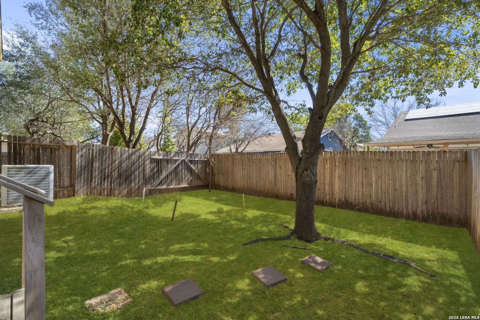 6932 Terra Rye