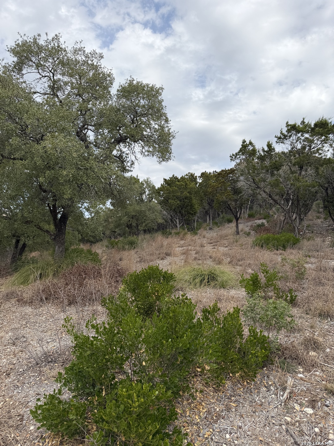 LOT 45 PR 2775