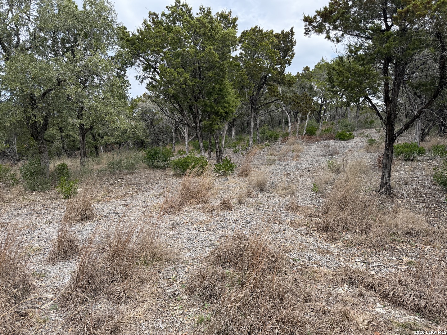 LOT 45 PR 2775