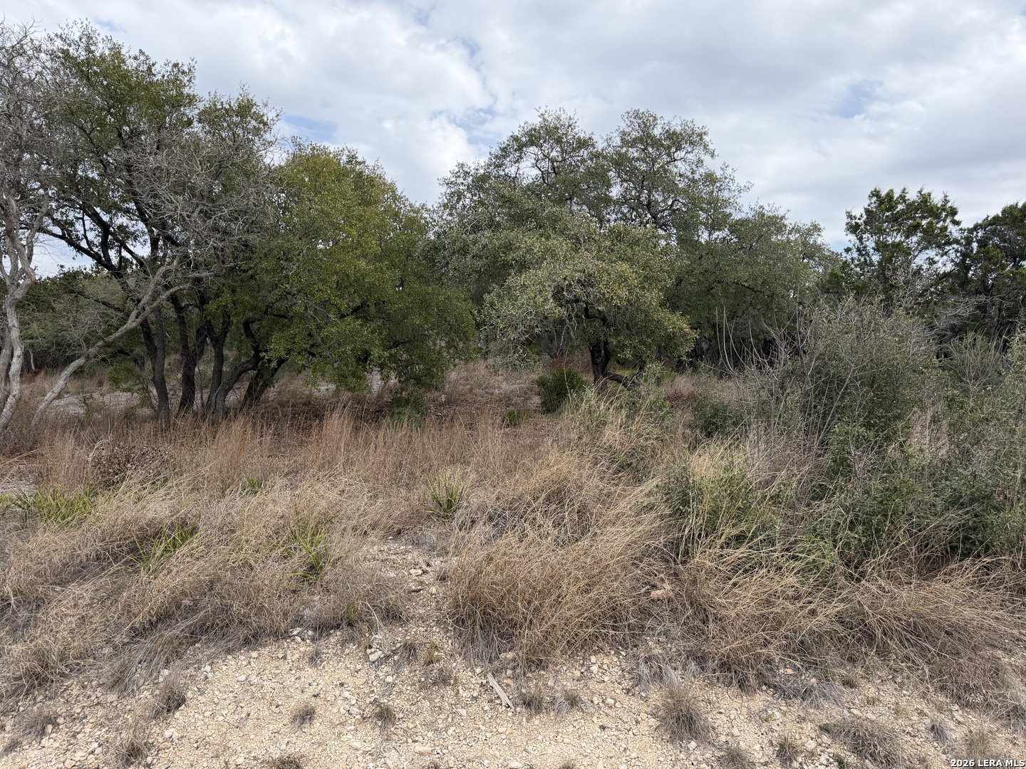 LOT 45 PR 2775