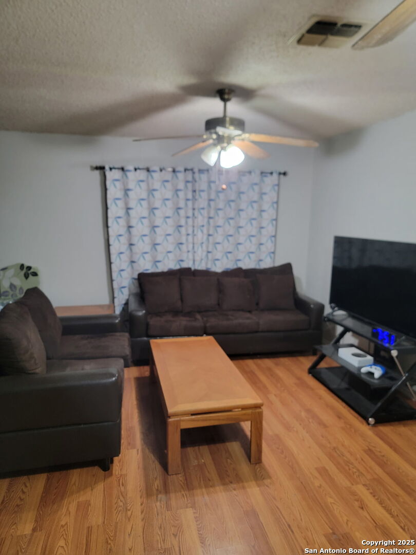 642 Palm