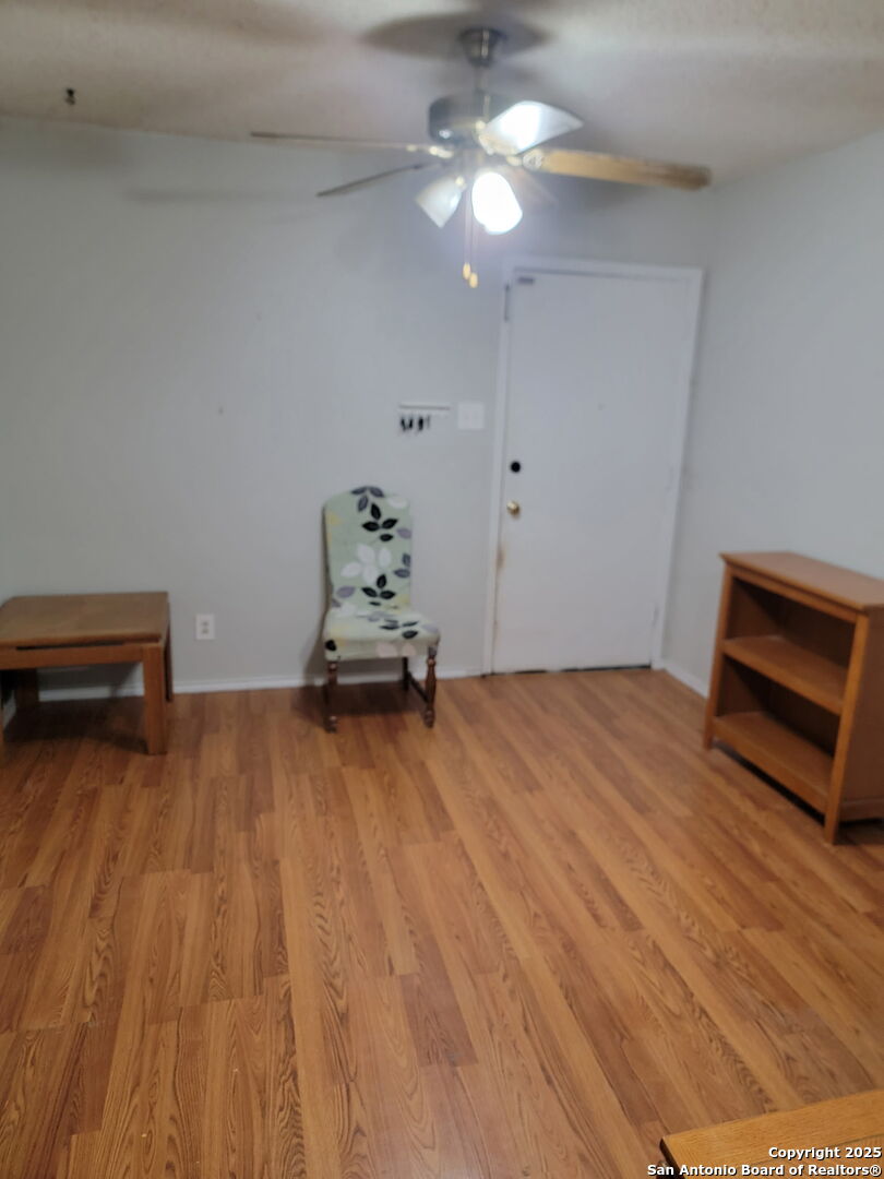 642 Palm