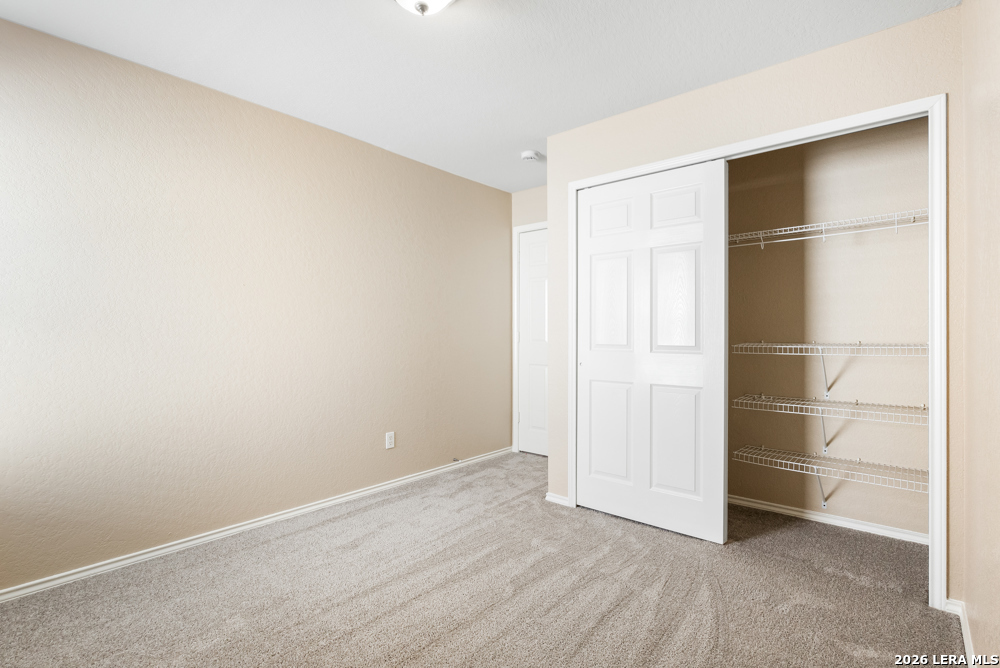 20907 Foothill Pine