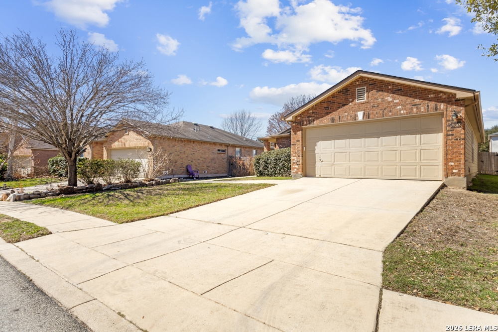20907 Foothill Pine