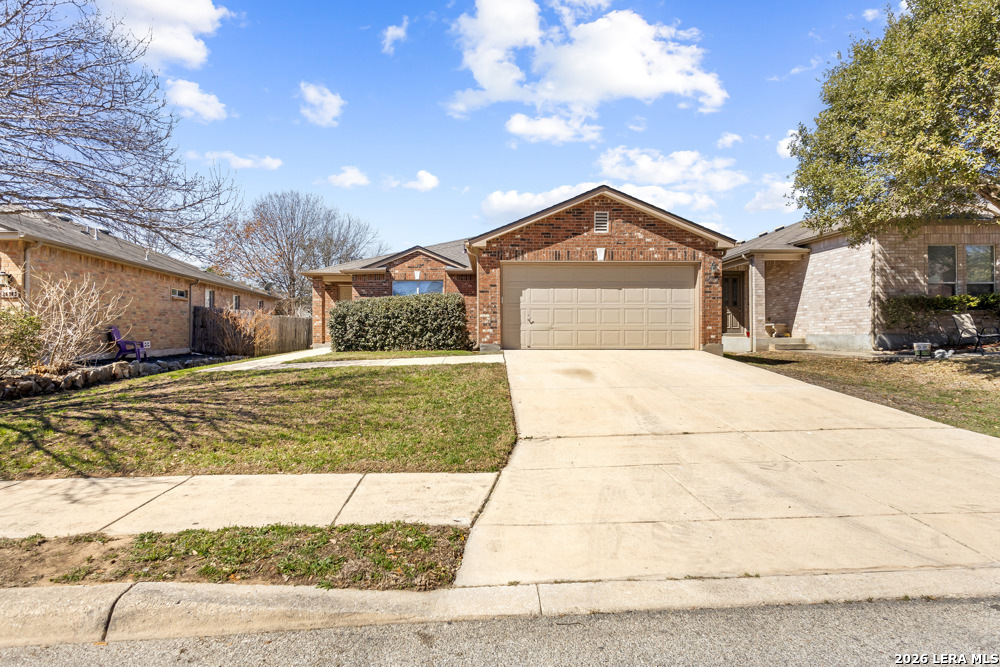 20907 Foothill Pine