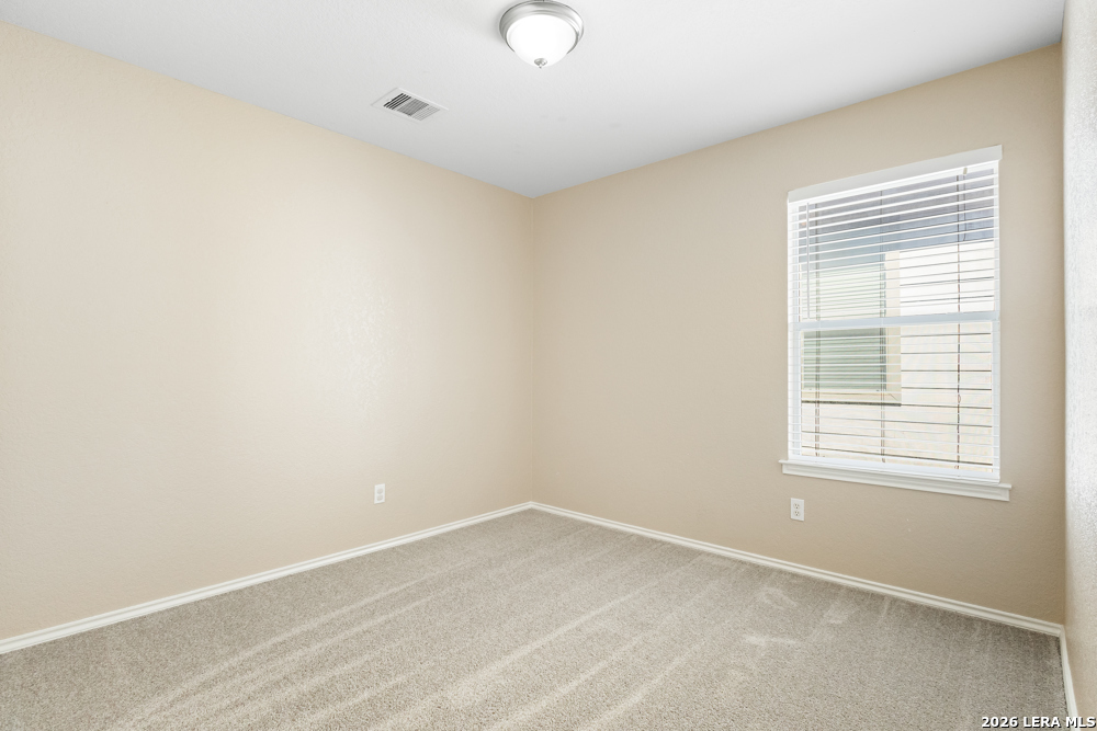 20907 Foothill Pine