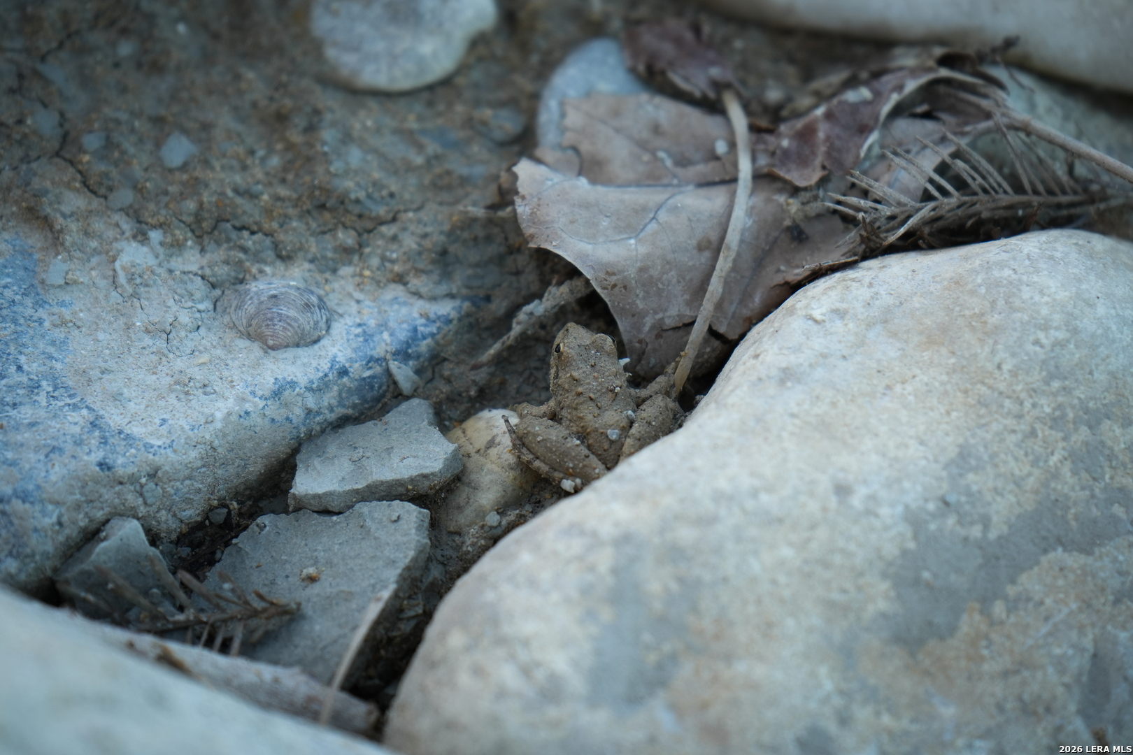 454 center point river