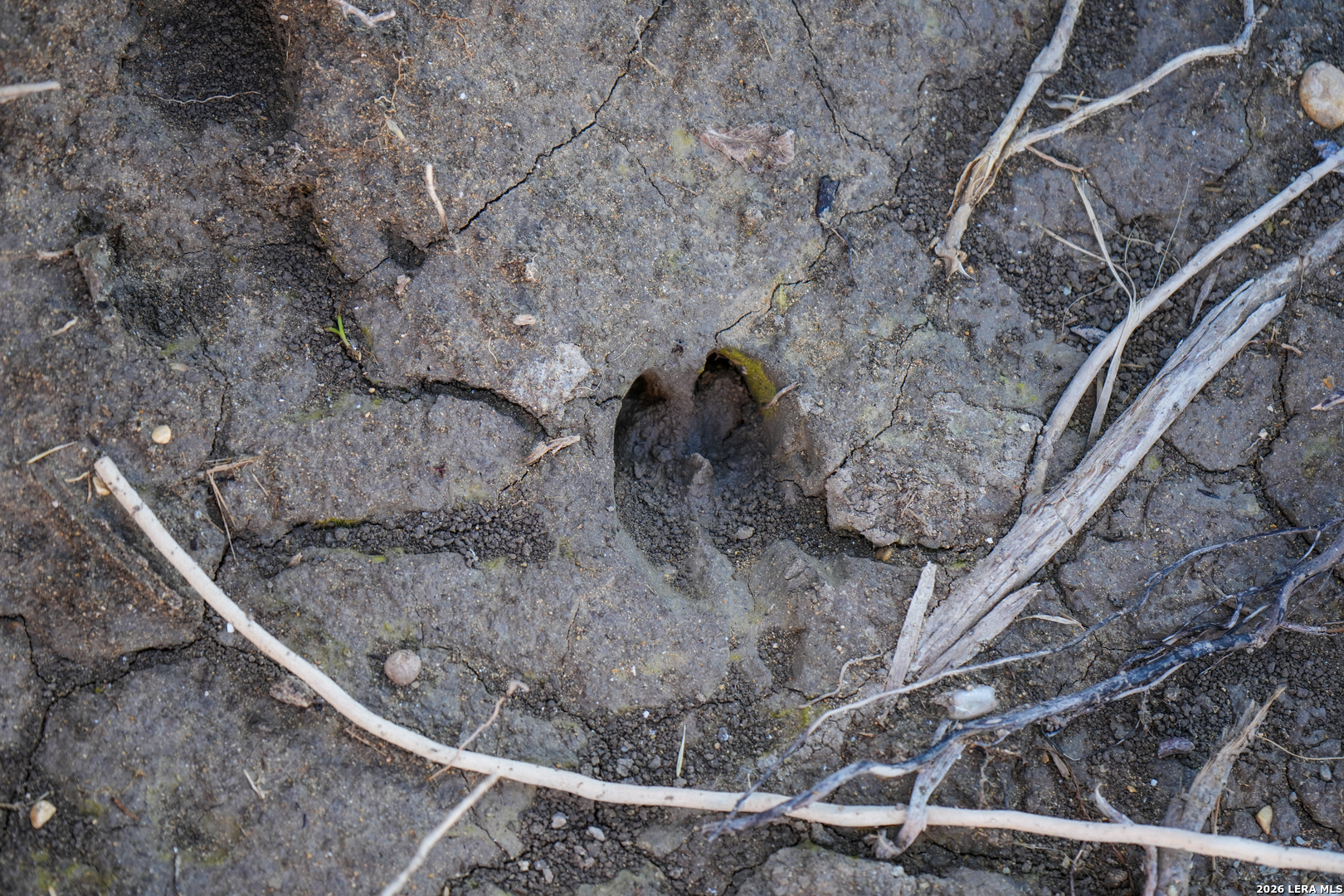 454 center point river