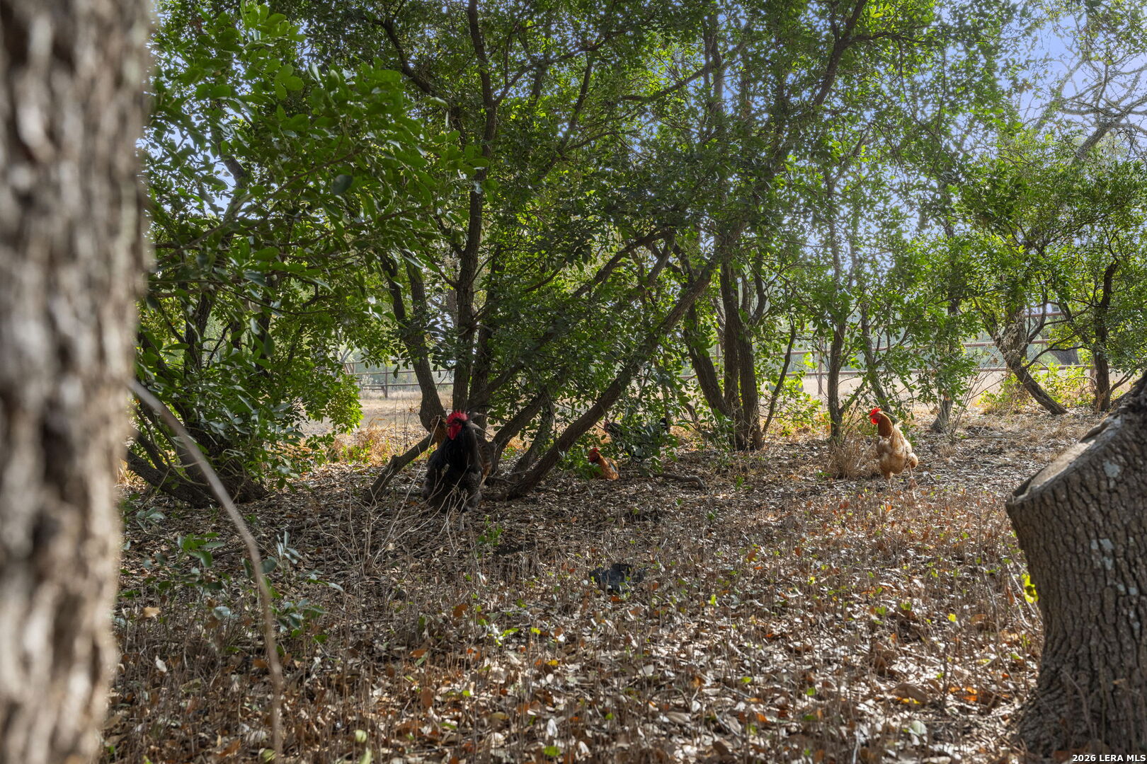 158 private road 4732