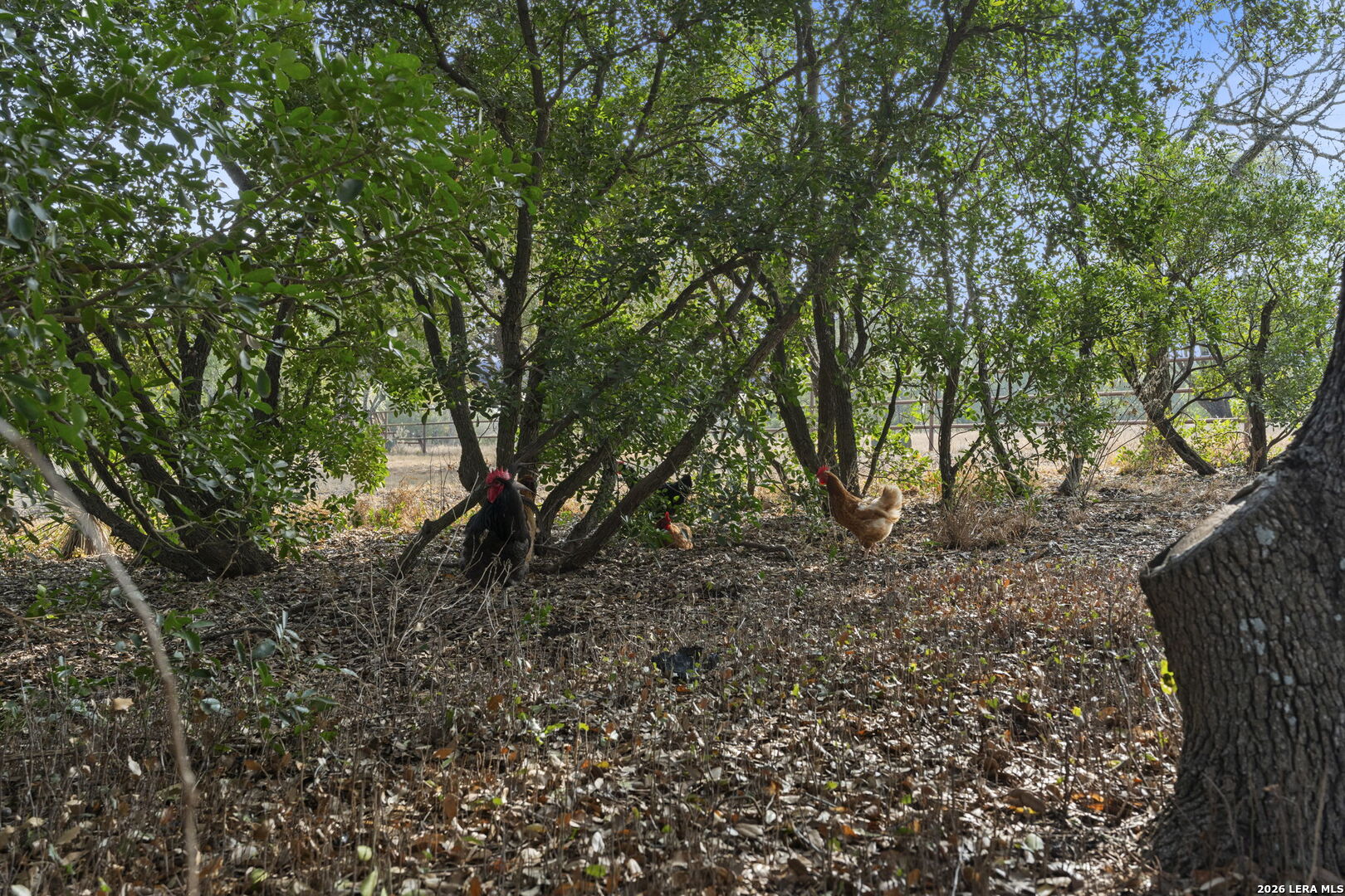 158 private road 4732