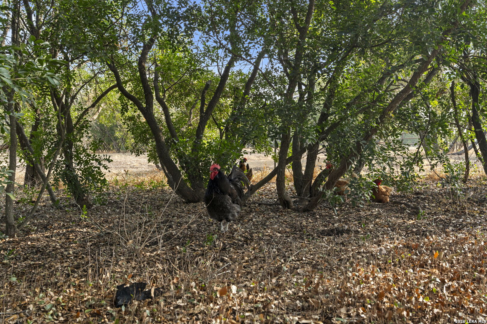 158 private road 4732