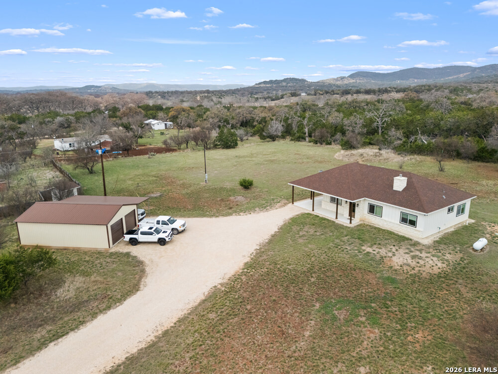 175 Pine Tree