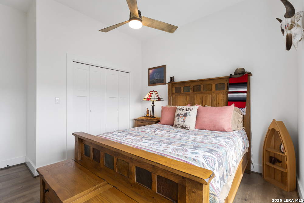 175 Pine Tree