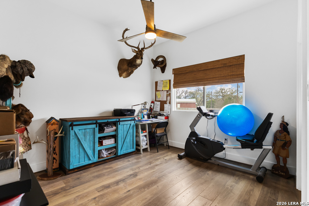 175 Pine Tree