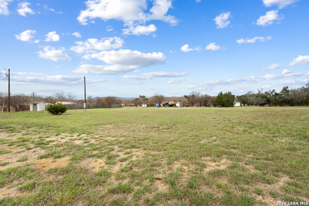 175 Pine Tree