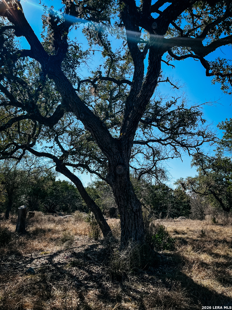 3364 HWY 173 S.