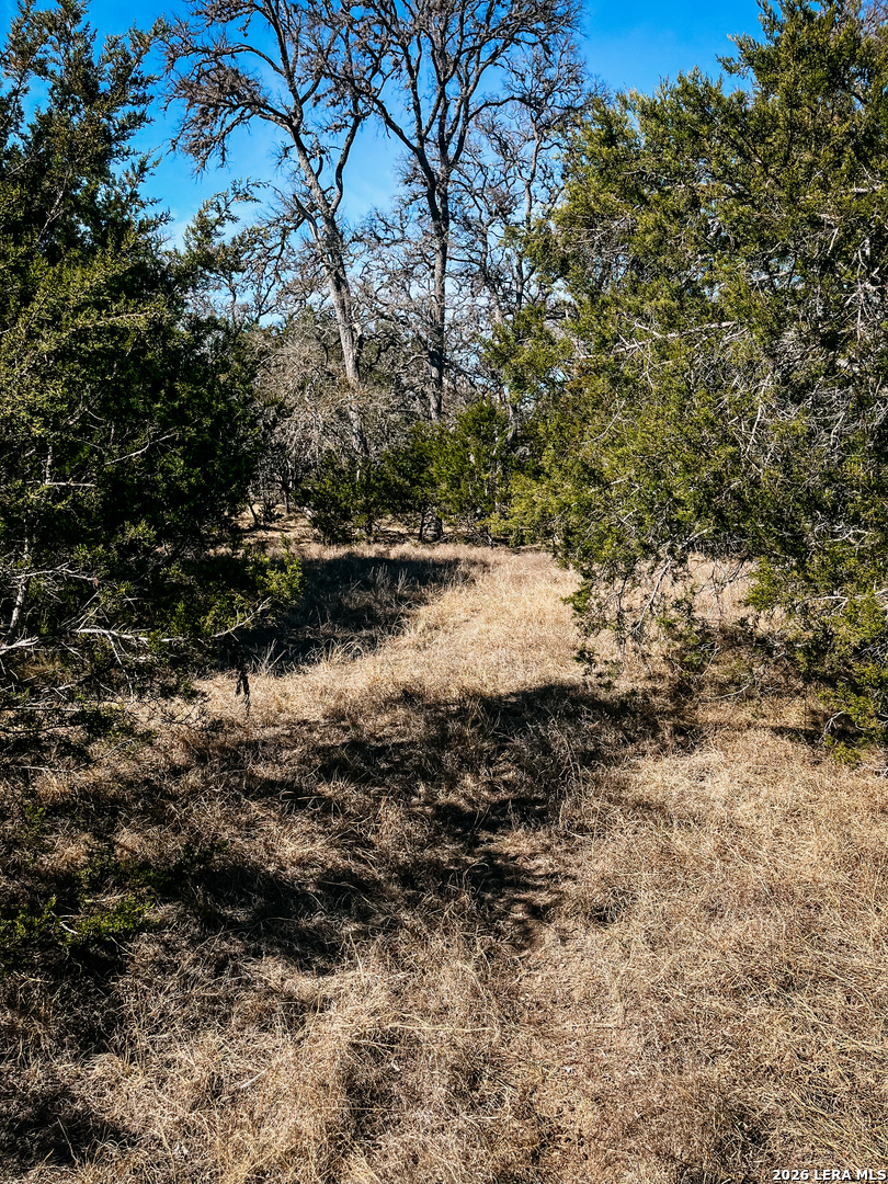 3364 HWY 173 S.