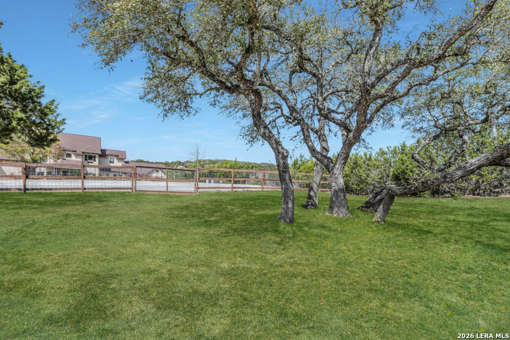 115 Treeline