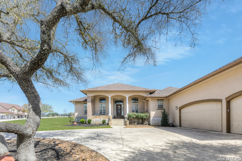 115 Treeline