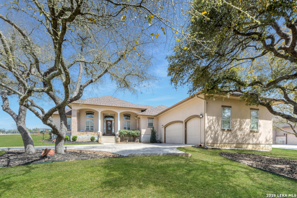 115 Treeline