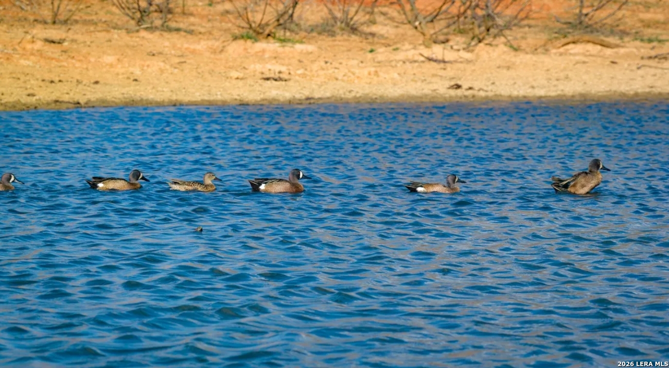 000 CR 153