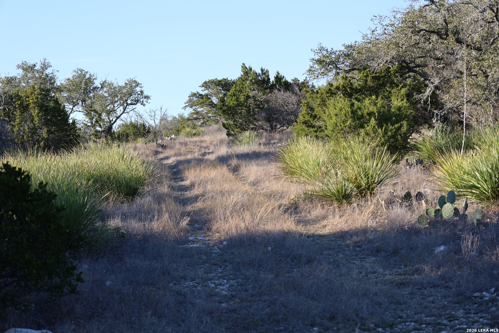 TBD County Road 241