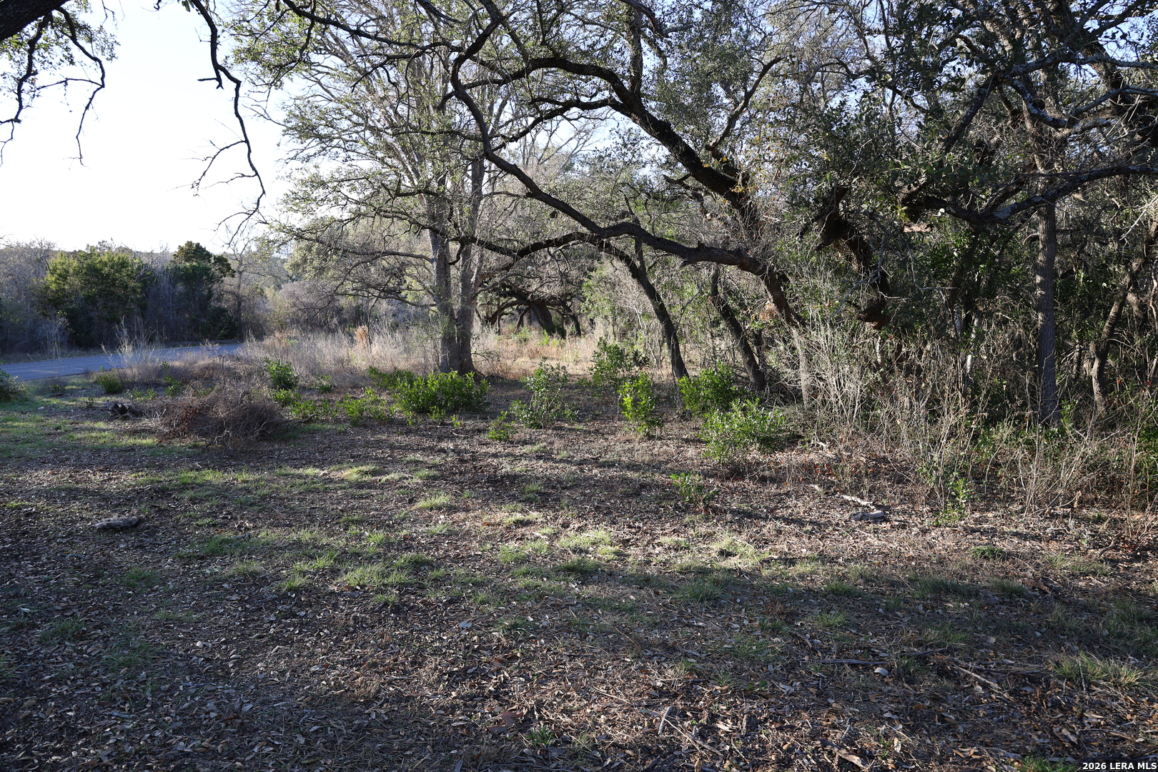 TBD County Road 241